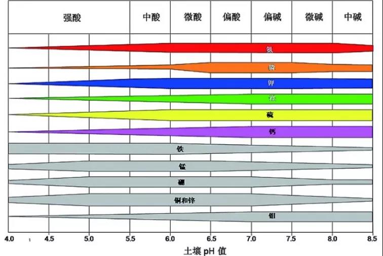 土壤PH速测仪，快速测PH